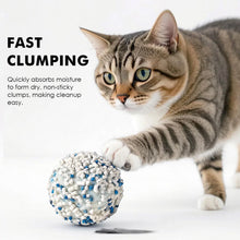 Load image into Gallery viewer, Vanilla Cassava Cat Litter Cubic Pack

