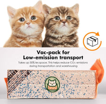 Load image into Gallery viewer, Vanilla Cassava Cat Litter Cubic Pack
