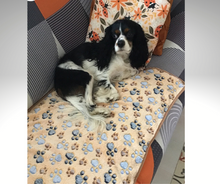 Load image into Gallery viewer, Cozalini™ Pet Blanket - Amani Reign
