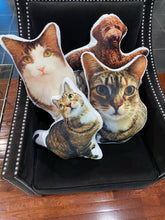 Load image into Gallery viewer, Hugster™ Custom Personalized Pet Pillow - Amani Reign
