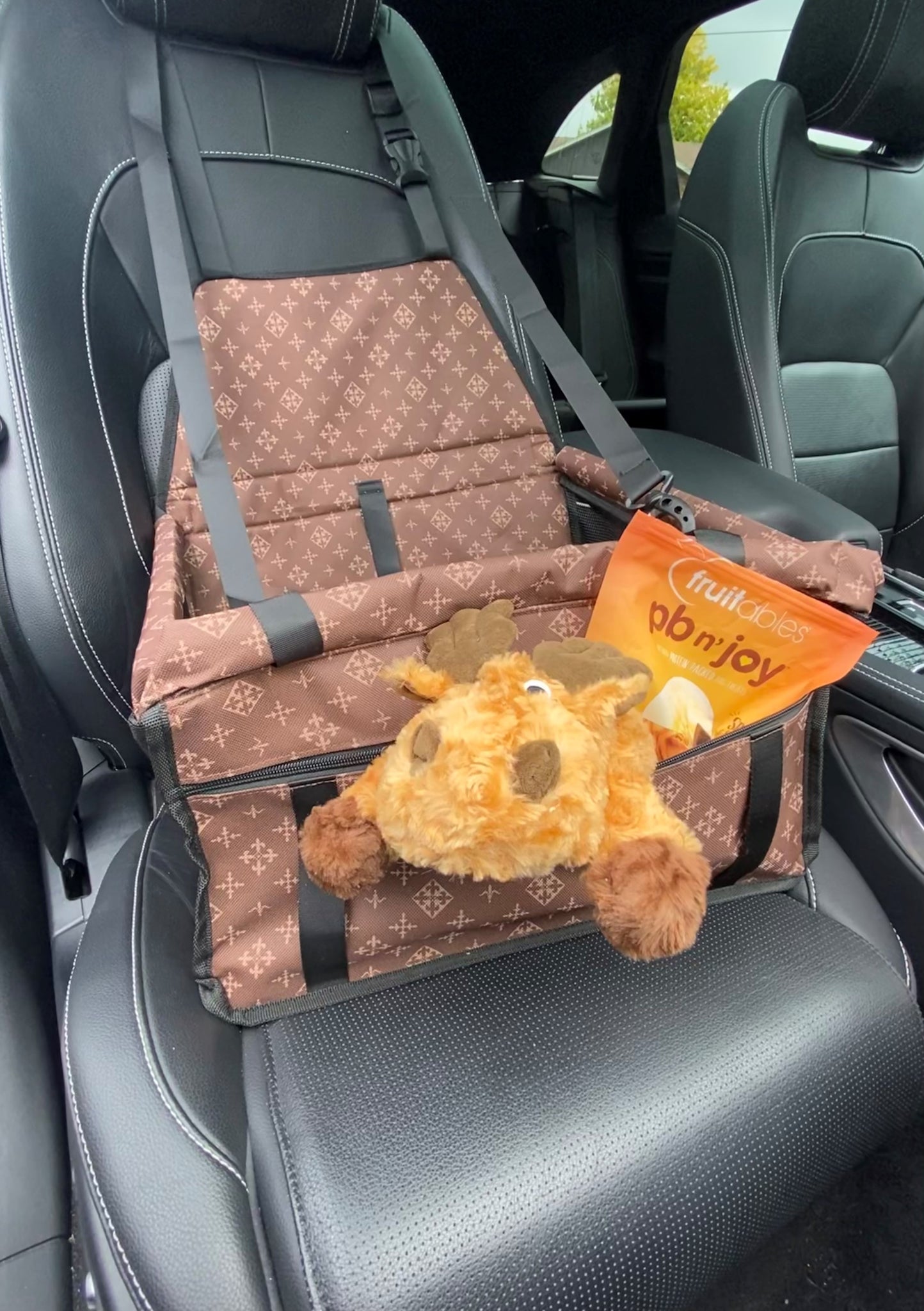 Travelini™ Seat Buddy Mid-Sized Dog Car Seat – Amani Reign