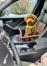 Load image into Gallery viewer, Travelini™ Seat Buddy Mid-Sized Dog Car Seat - Amani Reign

